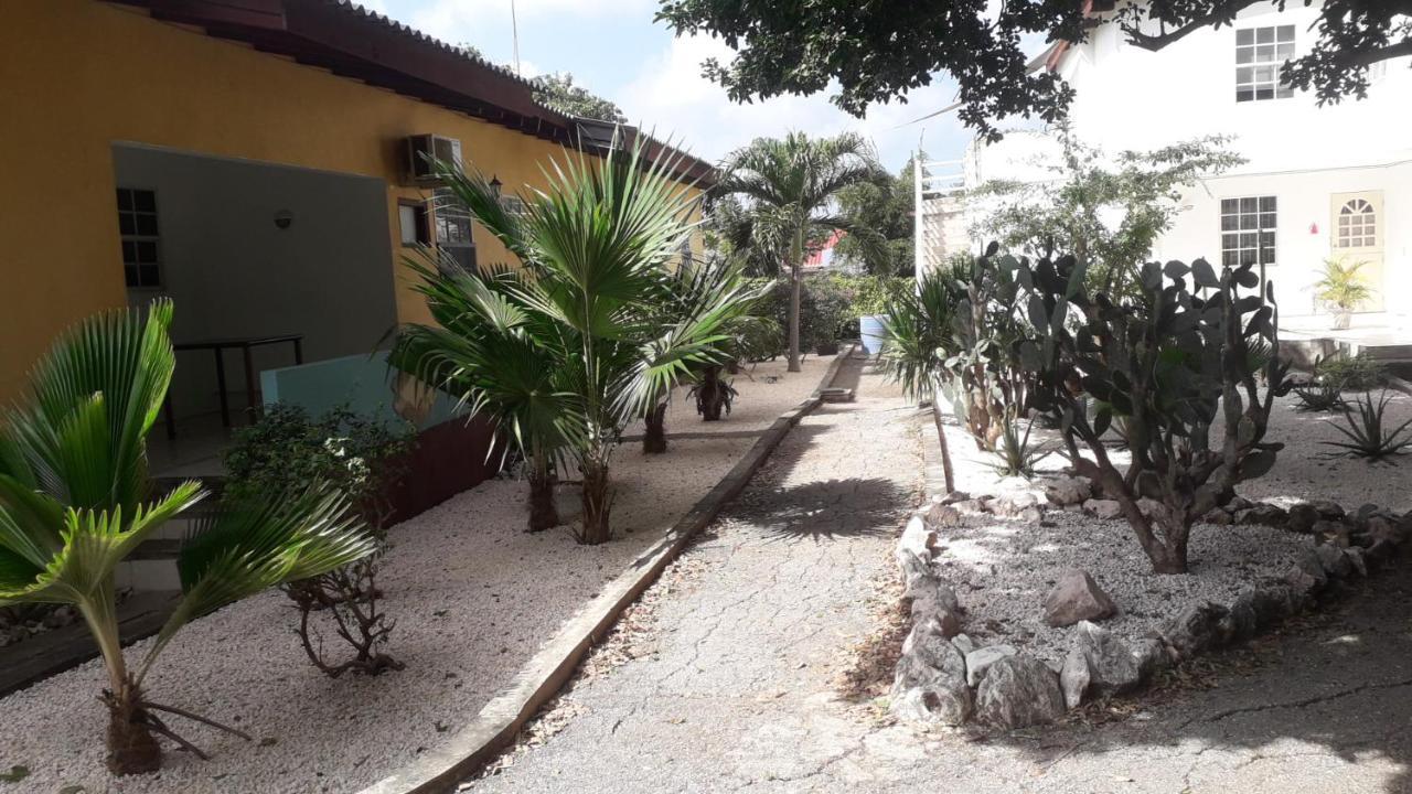 Happy Turtle Apartments Willemstad Esterno foto