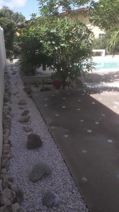 Happy Turtle Apartments Willemstad Esterno foto