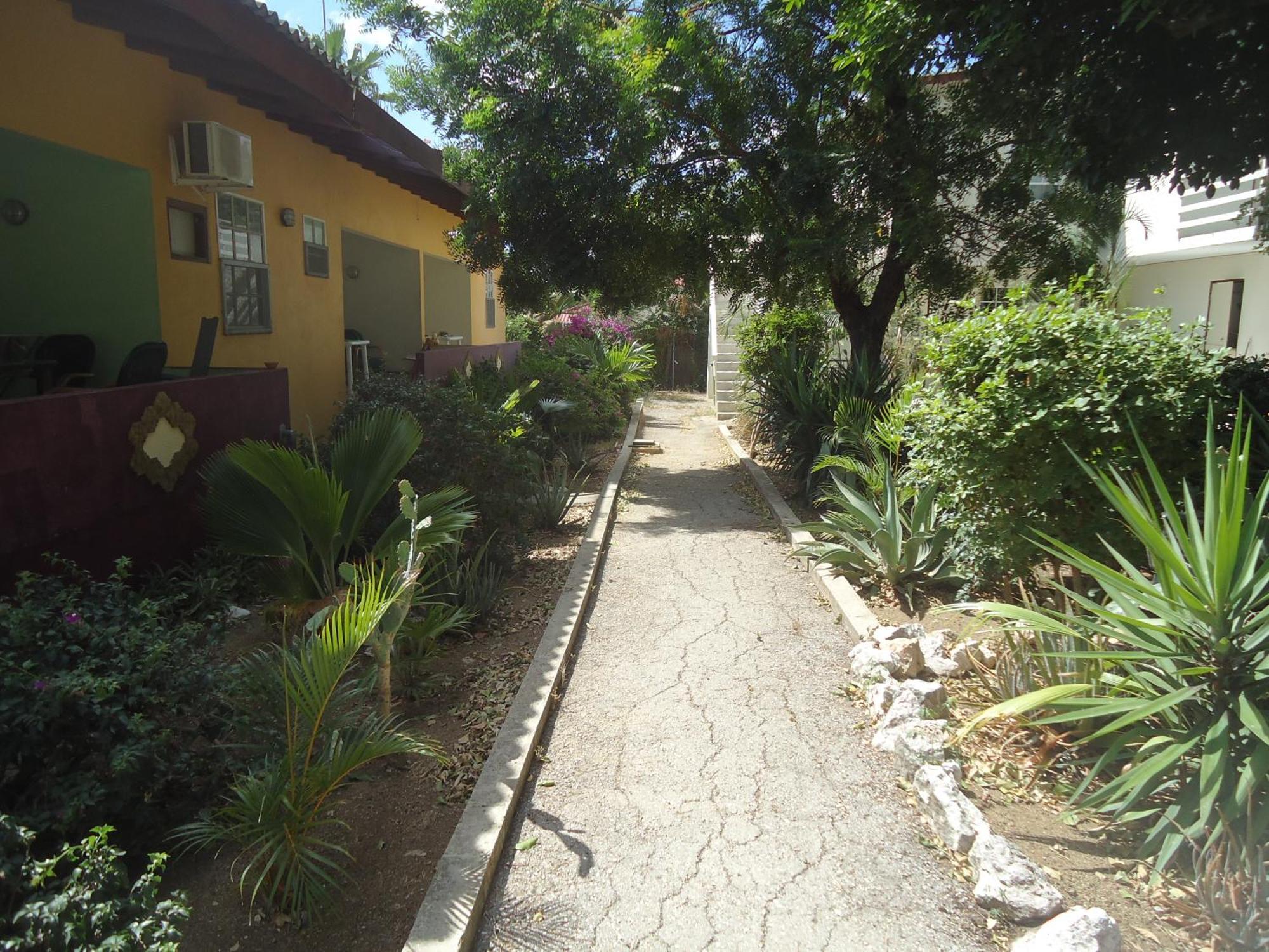 Happy Turtle Apartments Willemstad Esterno foto
