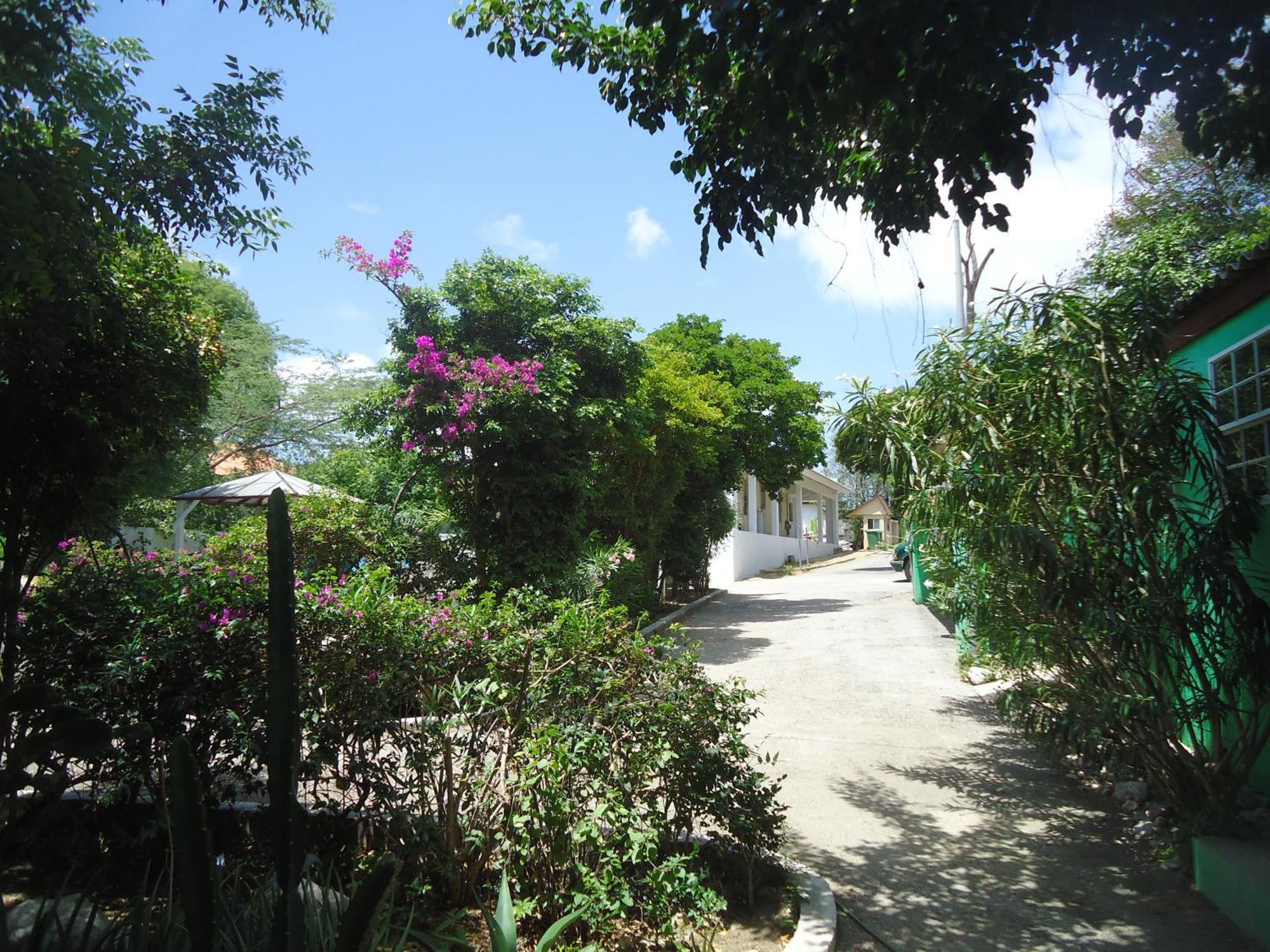 Happy Turtle Apartments Willemstad Esterno foto