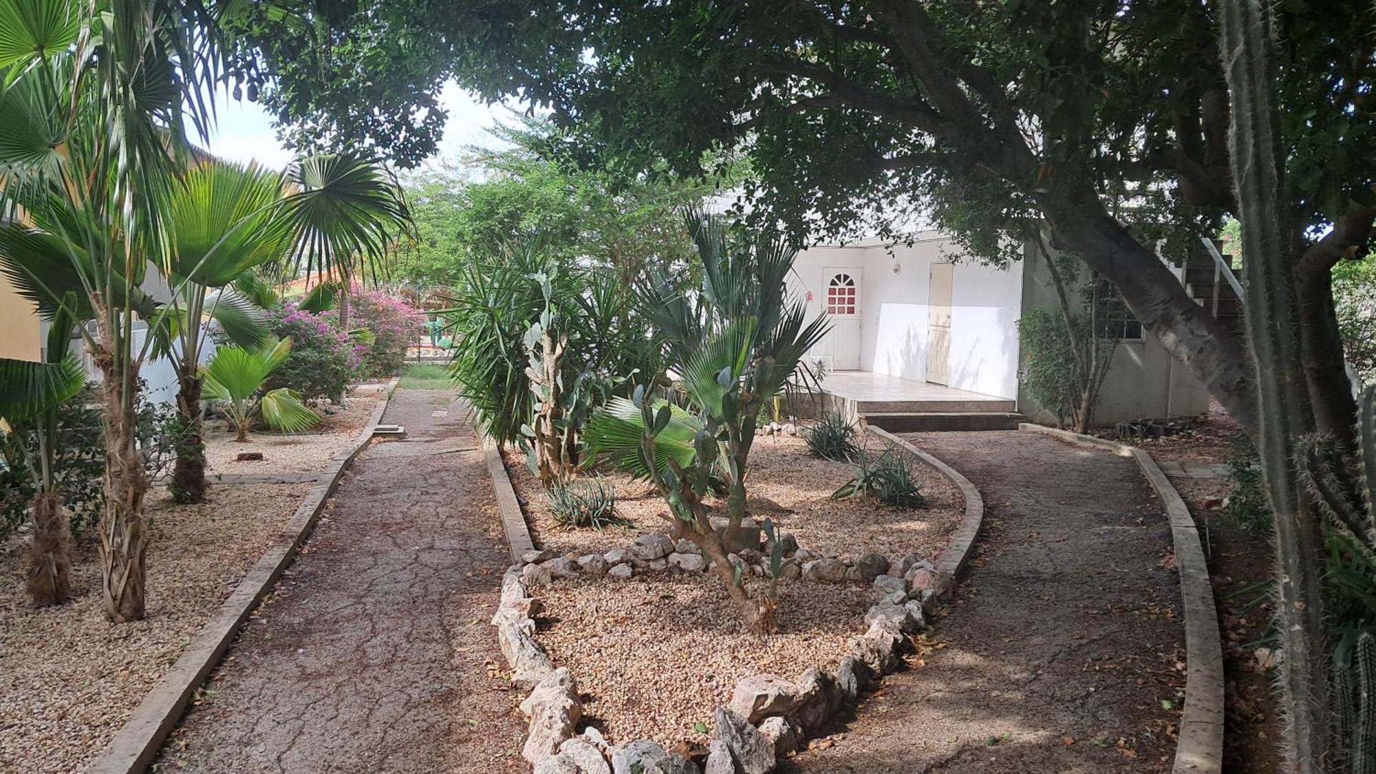 Happy Turtle Apartments Willemstad Esterno foto