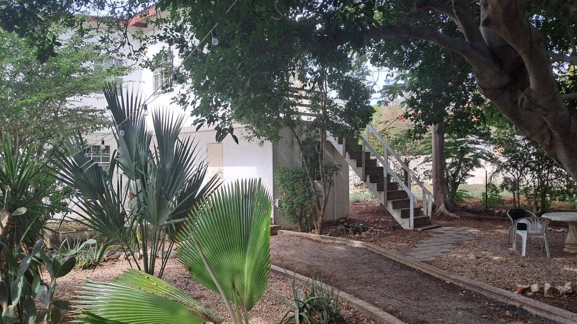 Happy Turtle Apartments Willemstad Esterno foto