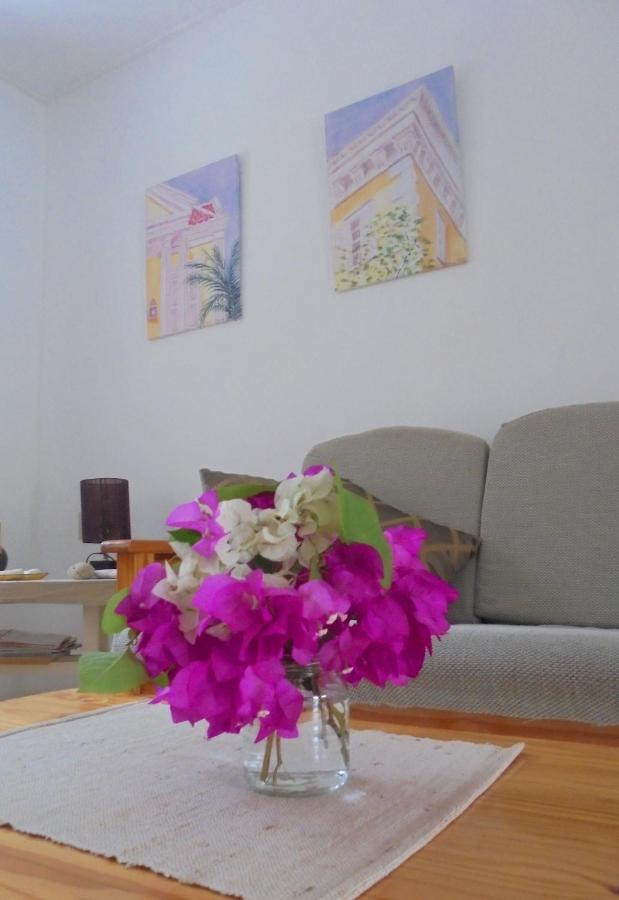 Happy Turtle Apartments Willemstad Esterno foto